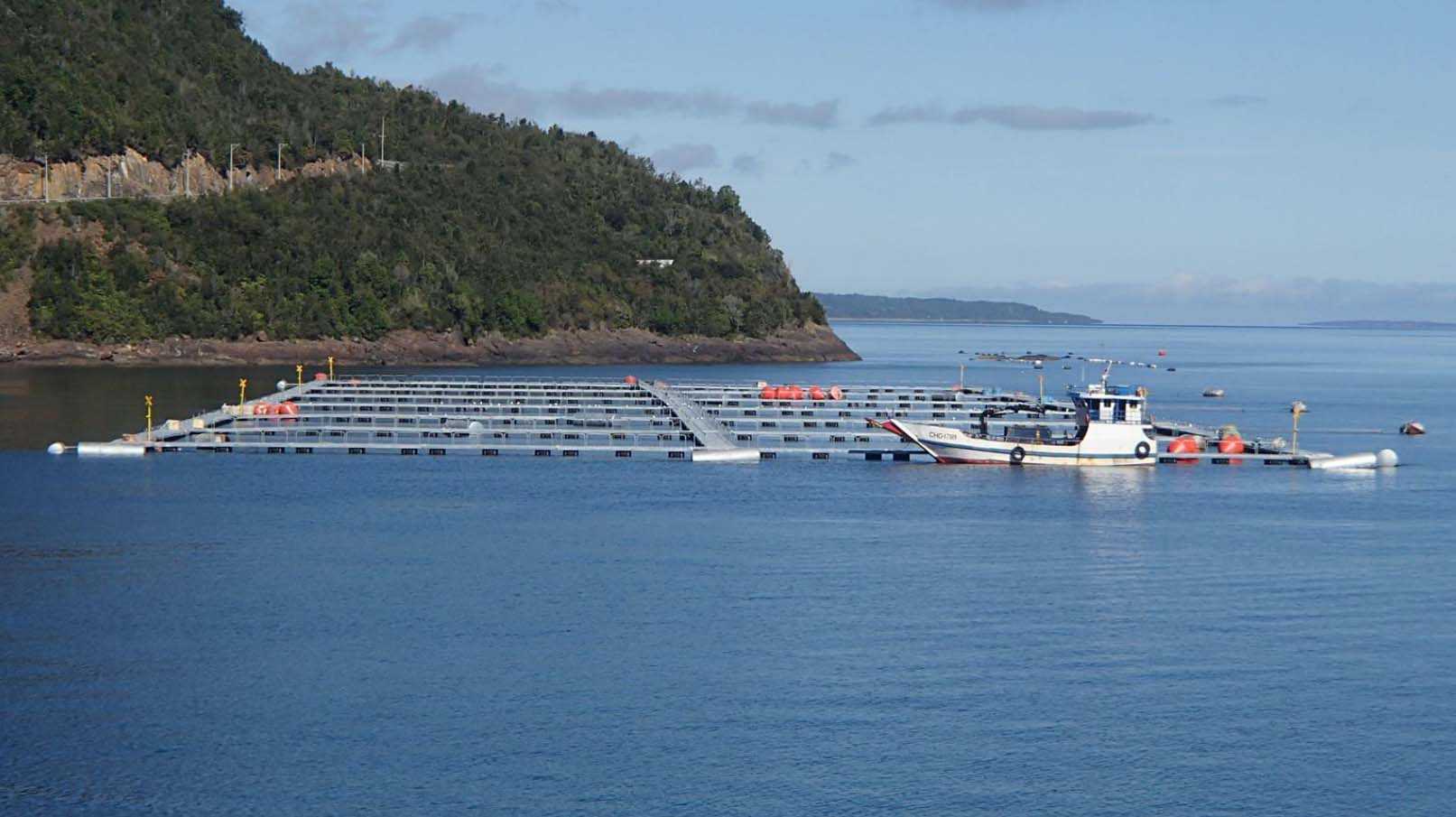 En Puerto Montt presentarán Informe Científico de Indicadores Ambientales para la Salmonicultura