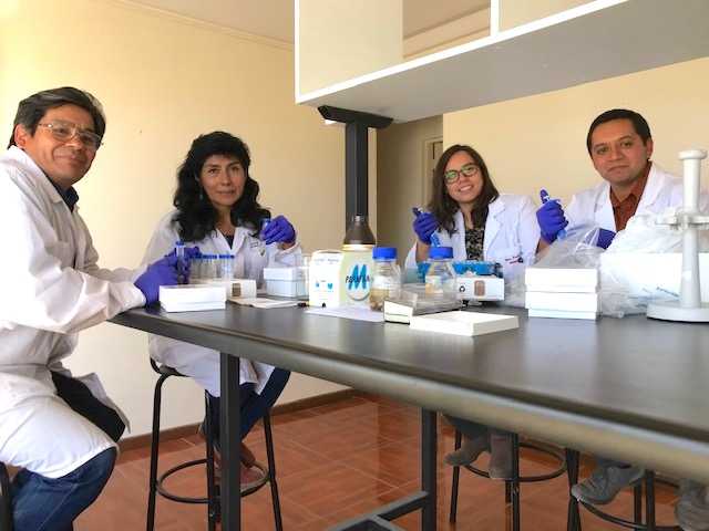 Desarrollan antibiótico natural para enfermedades de peces en Chile y Perú