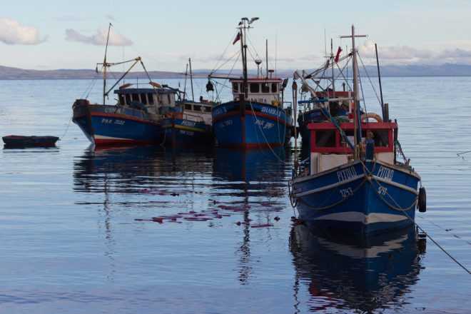 Destinan casi $90 millones para pescadores de Chiloé