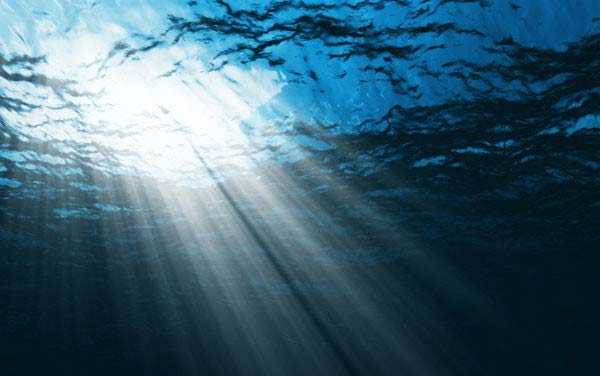 Para conmemorar el Día Mundial de los Océanos: Nuevo programa será transmitido por las redes sociales de Oceana