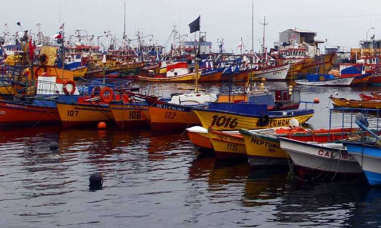 Pago de aporte solidario para pescadores sufre retraso