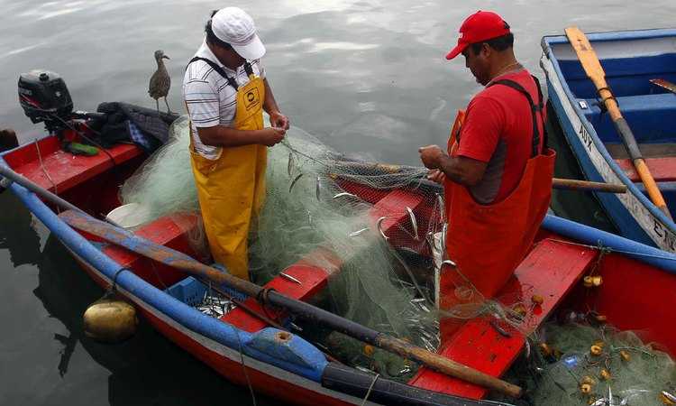 Aporte solidario para pescadores: Indespa inicia período de apelaciones