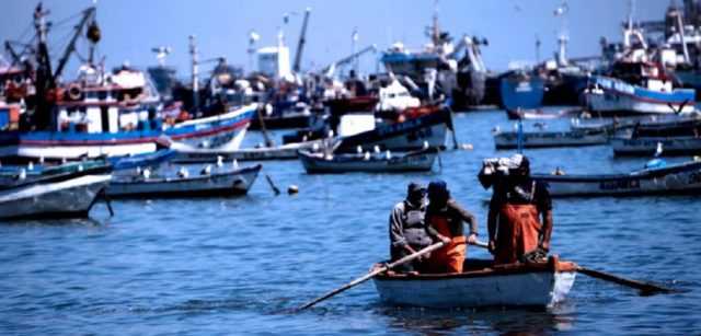 Por covid-19: Sernapesca dice mantener conexión directa con 1.200 pescadores y agrupaciones artesanales