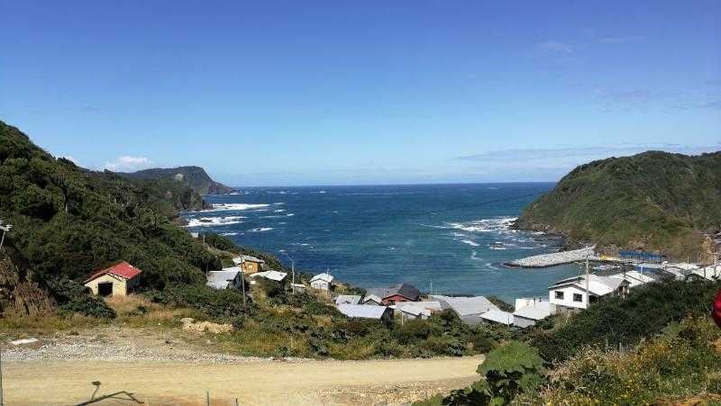 Decretan Alerta Roja para comunas del borde costero nacional por amenaza de tsunami