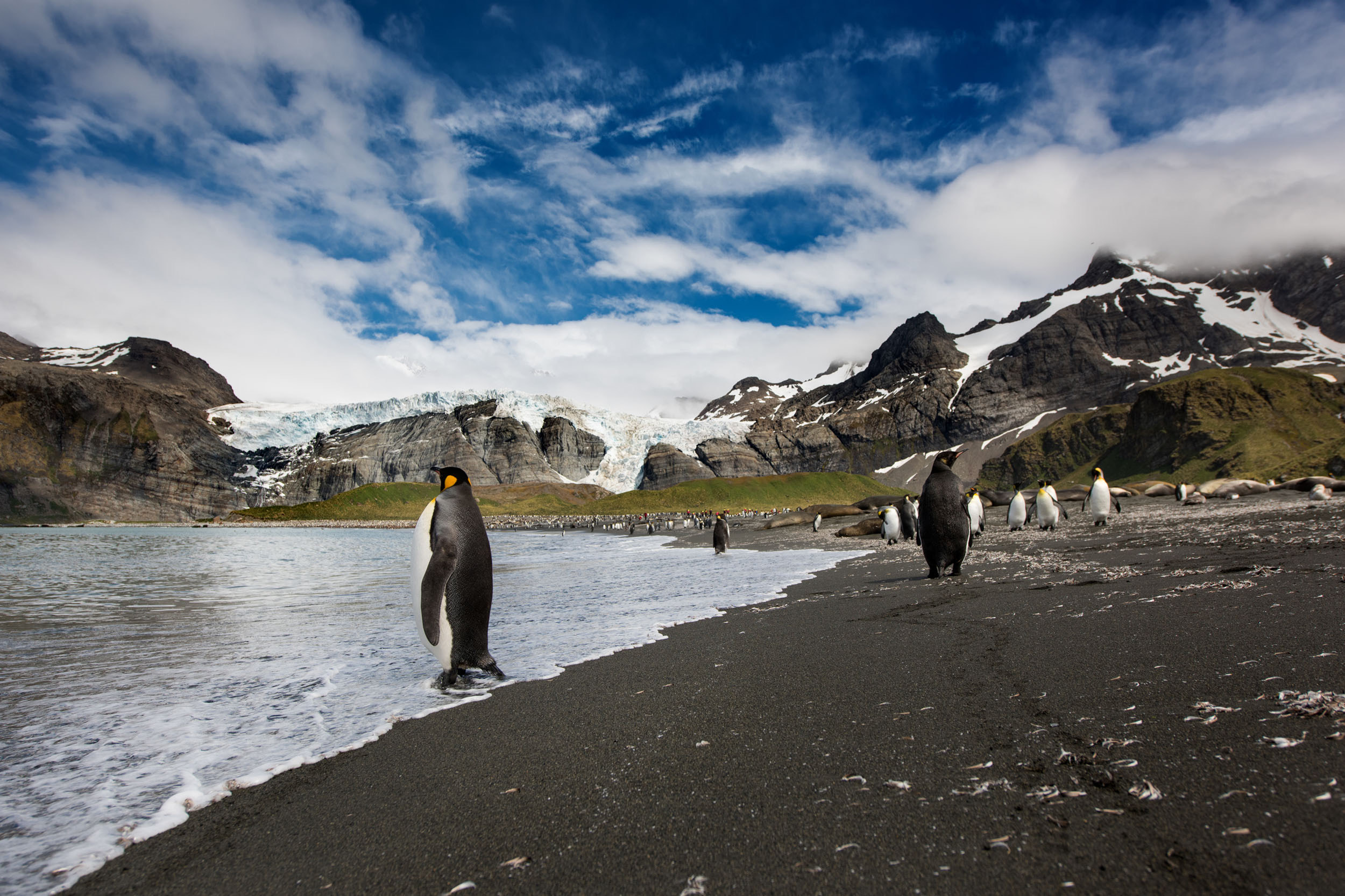 Equipo de Greenpeace es testigo de temperatura récord en la Antártida