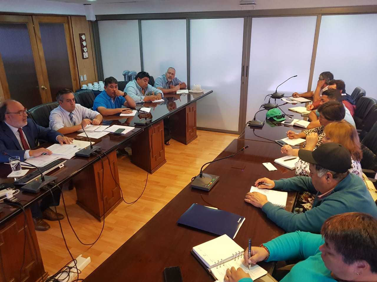 Con nutrida agenda de trabajo concluyó reunión entre la Conapach y el subsecretario de Pesca y Acuicultura