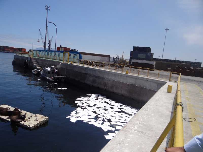 Fiscalizan derrame de petróleo en puerto de Antofagasta