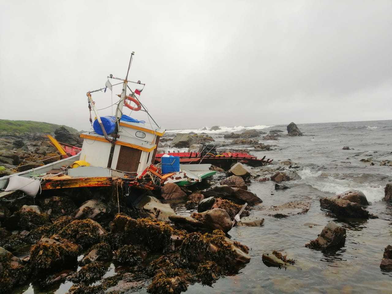 Dos pescadores de Calbuco fueron rescatados con vida por tripulación del Ronia Diamond