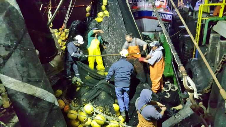 Trabajadores pesqueros presentaron recurso de protección contra la Dirección del Trabajo