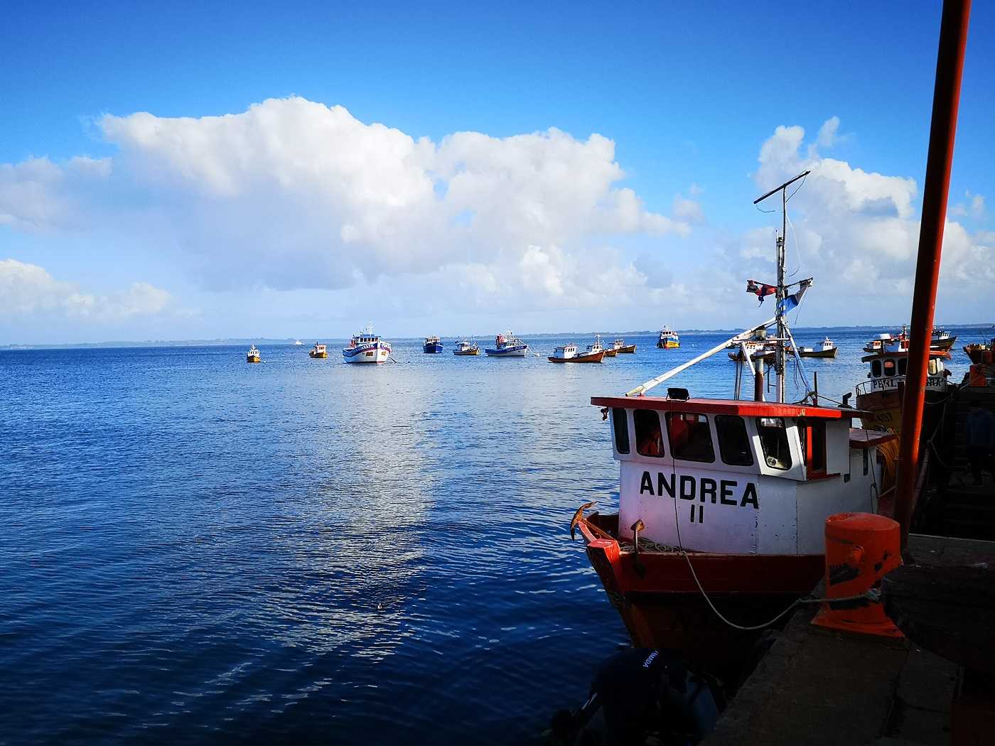 Director de Conapach: “Se está beneficiando a la industria por sobre la pesca artesanal” 