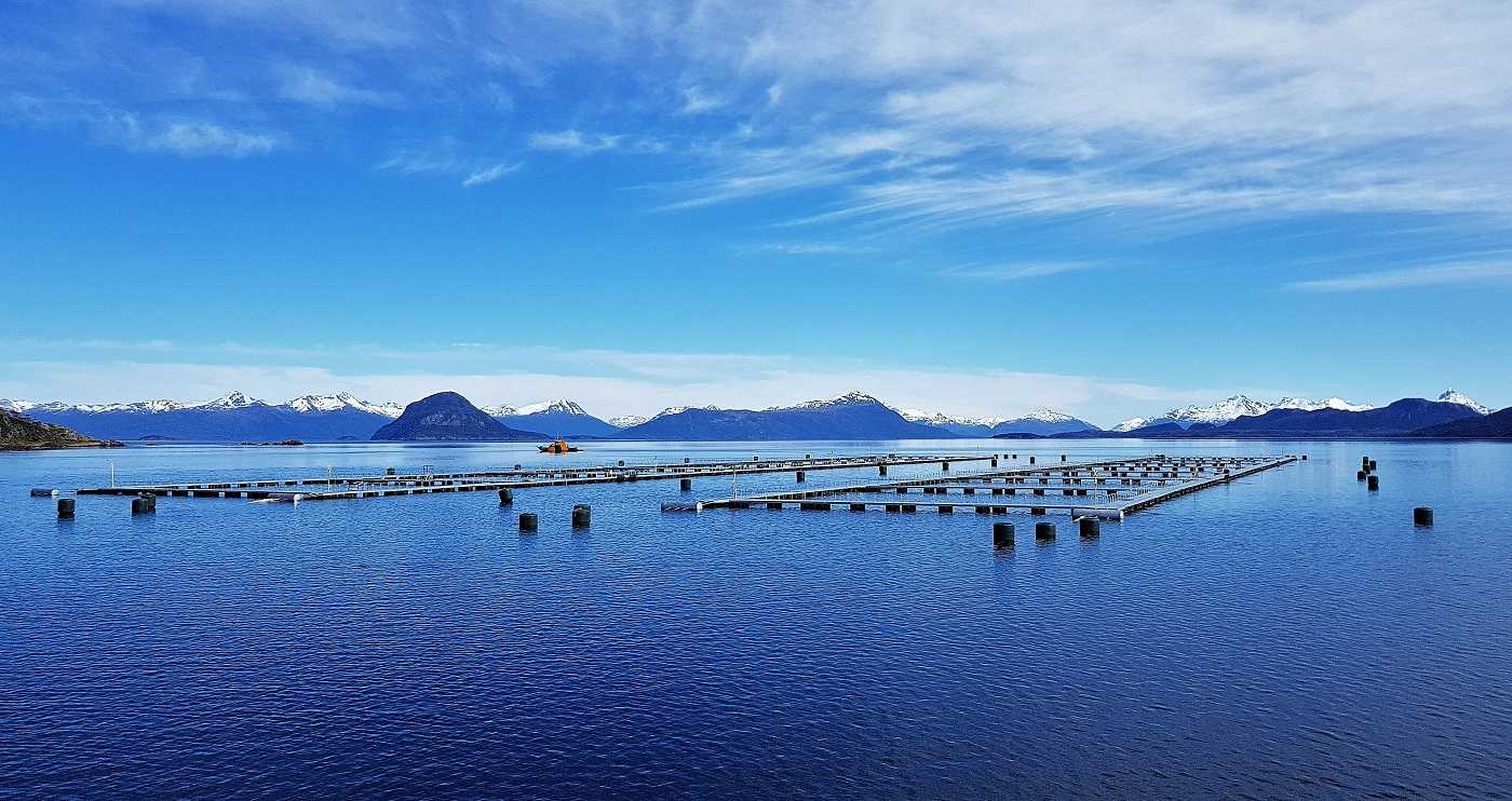 Patagonia Mar y Tierra emite declaración por concesiones salmonicultoras
