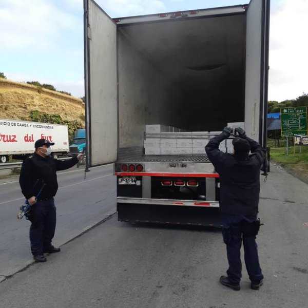 En Chacao: Detectan camión con carga no autorizada de salmones