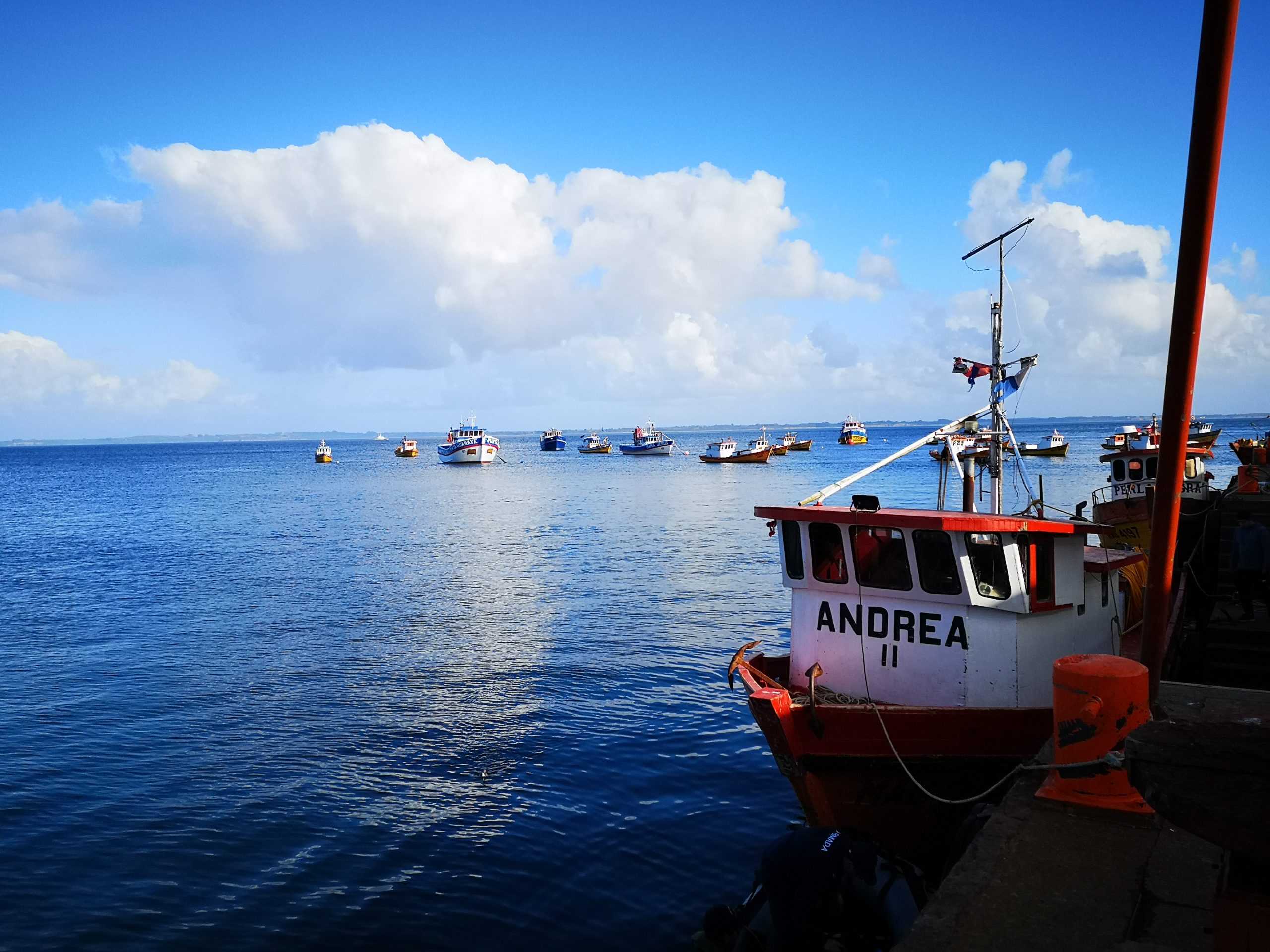 Subpesca: Informe anual de pesquerías revela mejoras en jurel, bacalao y otros recursos relevantes