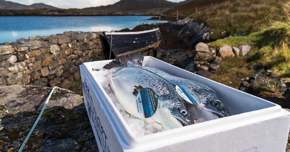 La pandemia lleva a productores europeos a probar nuevas formas de vender alimentos del mar