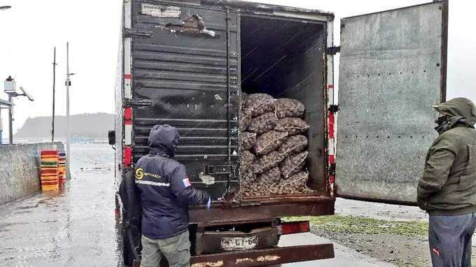 Sernapesca ha entregado más de 900 autorizaciones para que camiones ingresen a Chiloé