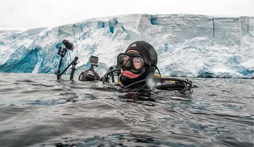 «Antártica bajo cero»: El miércoles comienza ciclo de charlas virtuales sobre ciencia polar