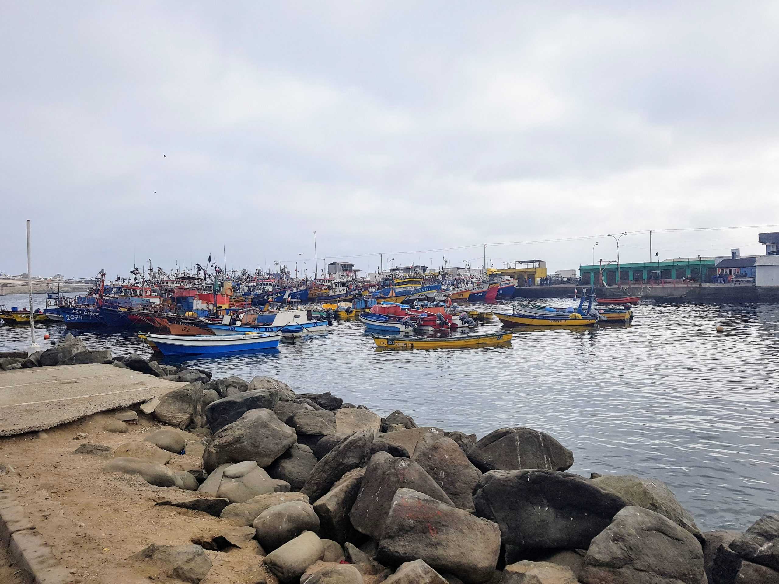 Alcaldesa de Caldera solicita aduana sanitaria en muelle pesquero