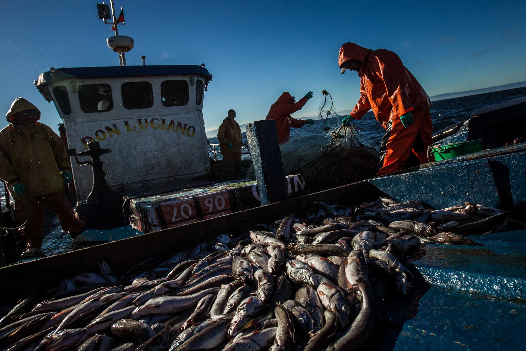 Ministerio del Mar: La CUT expresa su «total respaldo al mundo pesquero»