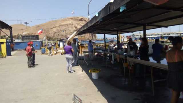 Covid-19 en Arica: «La cuarentena total ha afectado al pescador para consumo humano»