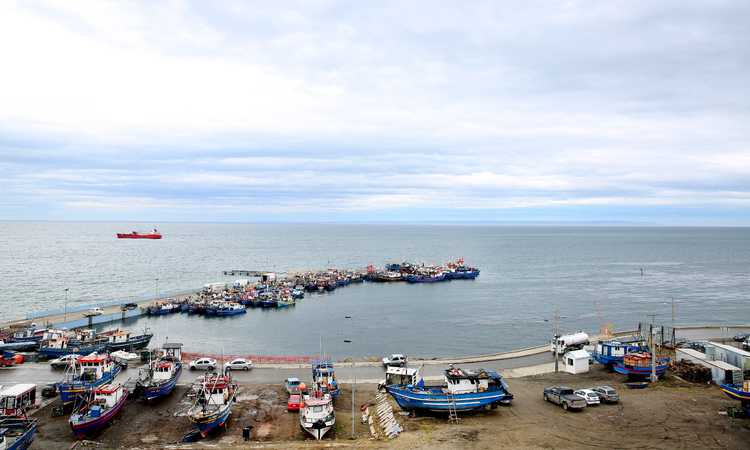 Caletas y pescaderías: Más de 130 puntos de venta operan a lo largo del país en el Mes del Mar