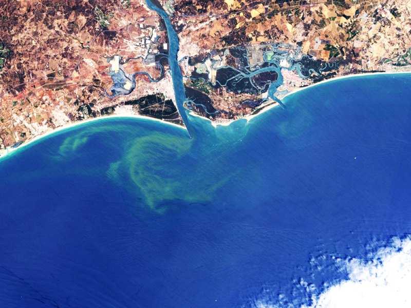 Utilizando satélites: Desarrollan metodología para detectar y monitorear algas nocivas