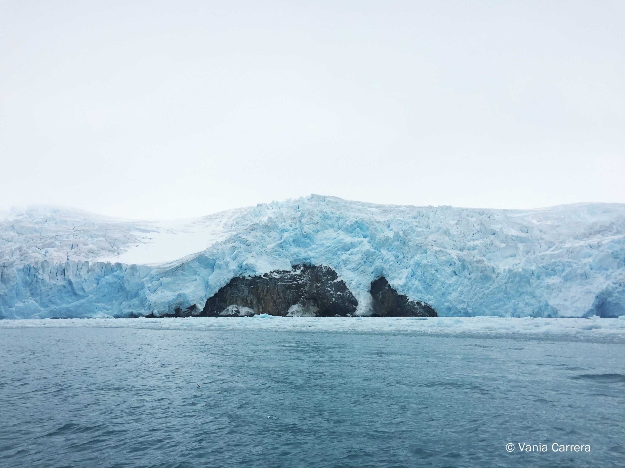 Derretimiento de glaciares podría cambiar y disminuir la biodiversidad marina antártica