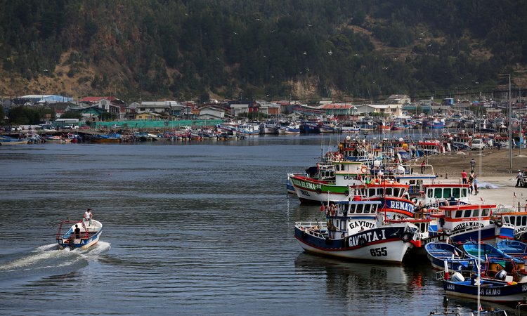 Abren concurso por $435 millones para pescadores de La Araucanía