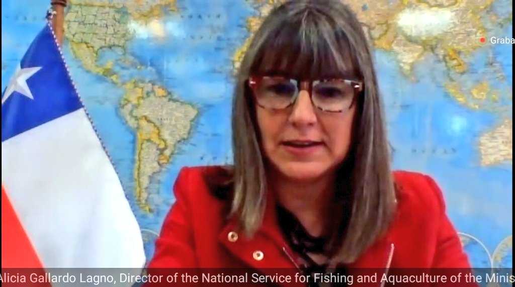 Día Mundial contra la Pesca Ilegal: Directora nacional de Sernapesca expuso en encuentro internacional organizado por la FAO