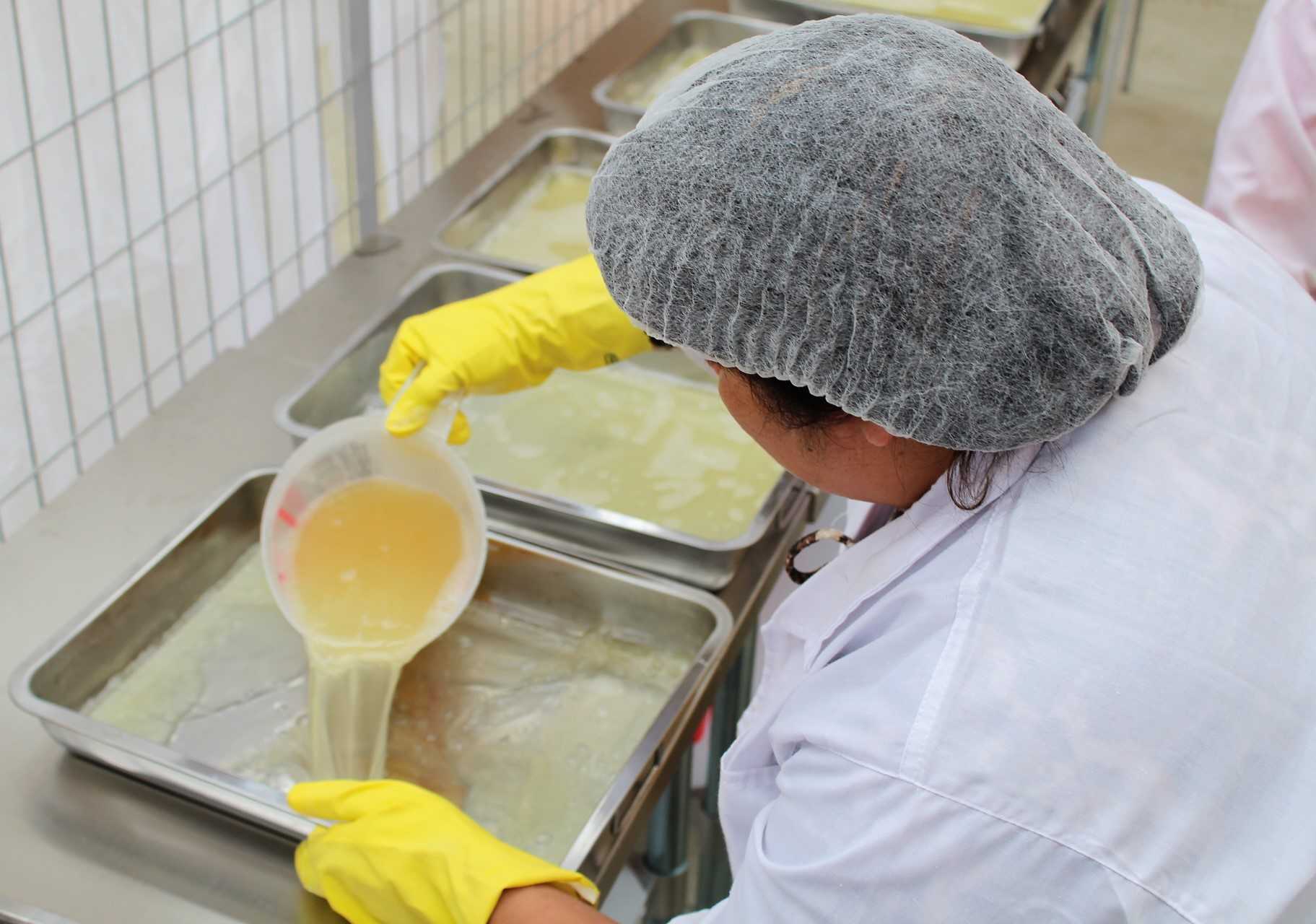 En base a agar-agar orgánico: Algueras chilotas avanzan en producción de dulces artesanales