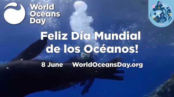 Día Mundial de los Océanos: Desafíos del SHOA para hacer los mares más conocidos