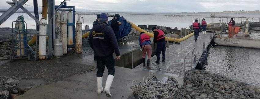 Sernapesca entrega balance sobre escape de peces ocurrido en Lago Llanquihue