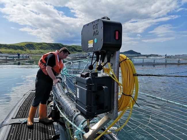 Salmonicultores de Escocia revisarán el uso de dispositivos acústicos para ahuyentar mamíferos marinos