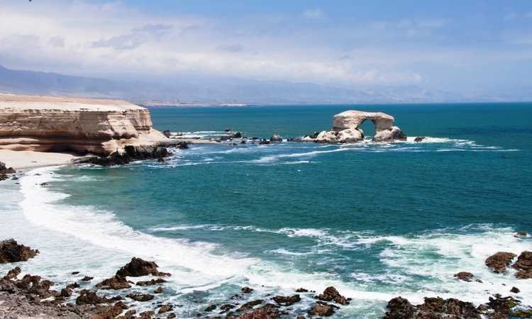 Pescadores de la región de Antofagasta podrán optar a fondos por $250 millones