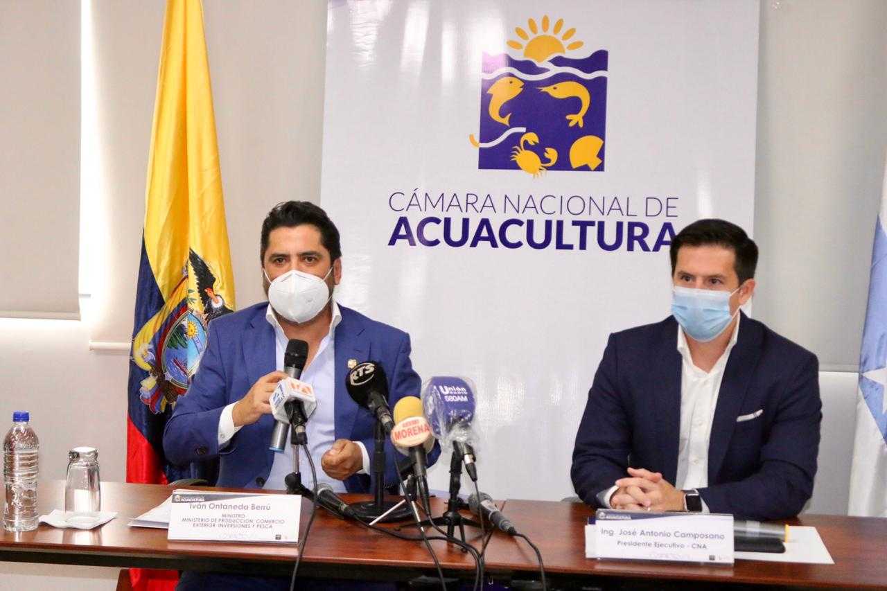 Pandemia provoca «grave contracción» en la producción y exportaciones de camarón ecuatoriano
