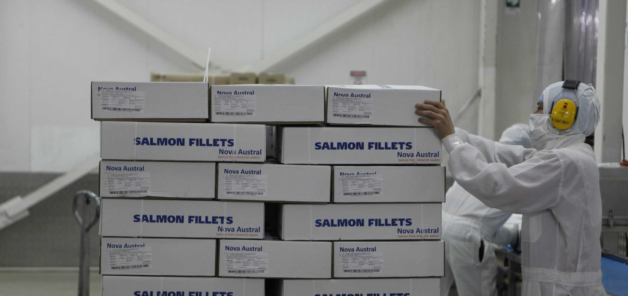 Mercados del salmón marcados por el proceso de inoculación