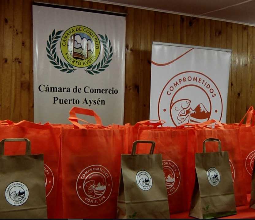Industria del salmón y Cámara de Comercio de Aysén entregan kits de higiene a pymes locales