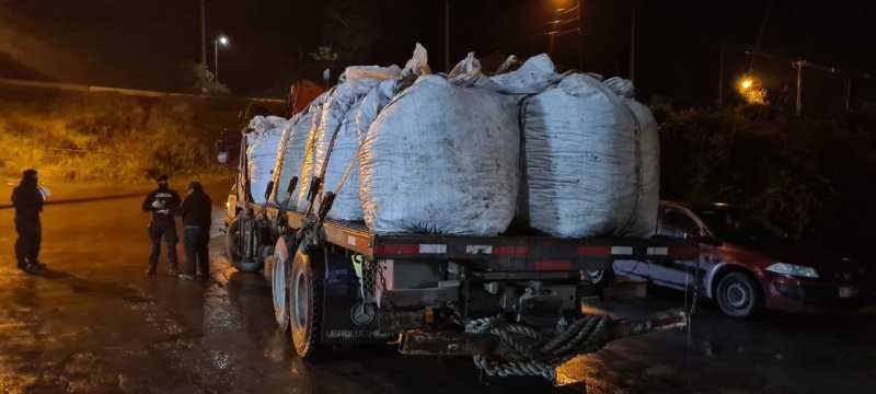 Decomisan 8 toneladas de choritos en Chiloé
