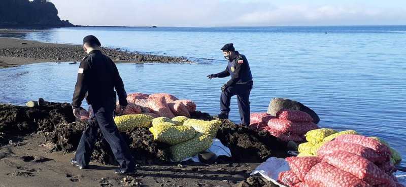 En Puerto Montt: La Armada incauta 140 sacos de almejas