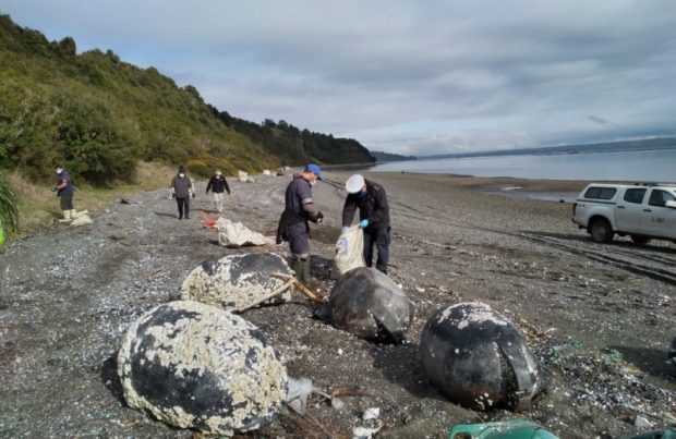 Chiloé: En isla Lemuy retiran desechos de la industria acuícola