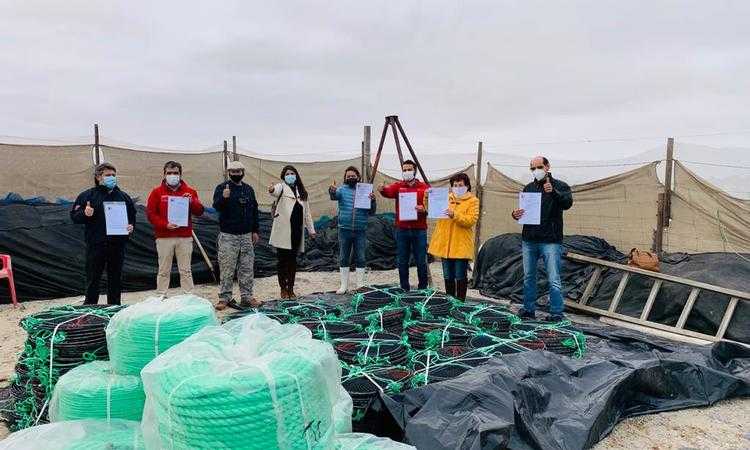 Pequeños acuicultores de Atacama reciben 40 mil semillas de ostión y seis embarcaciones