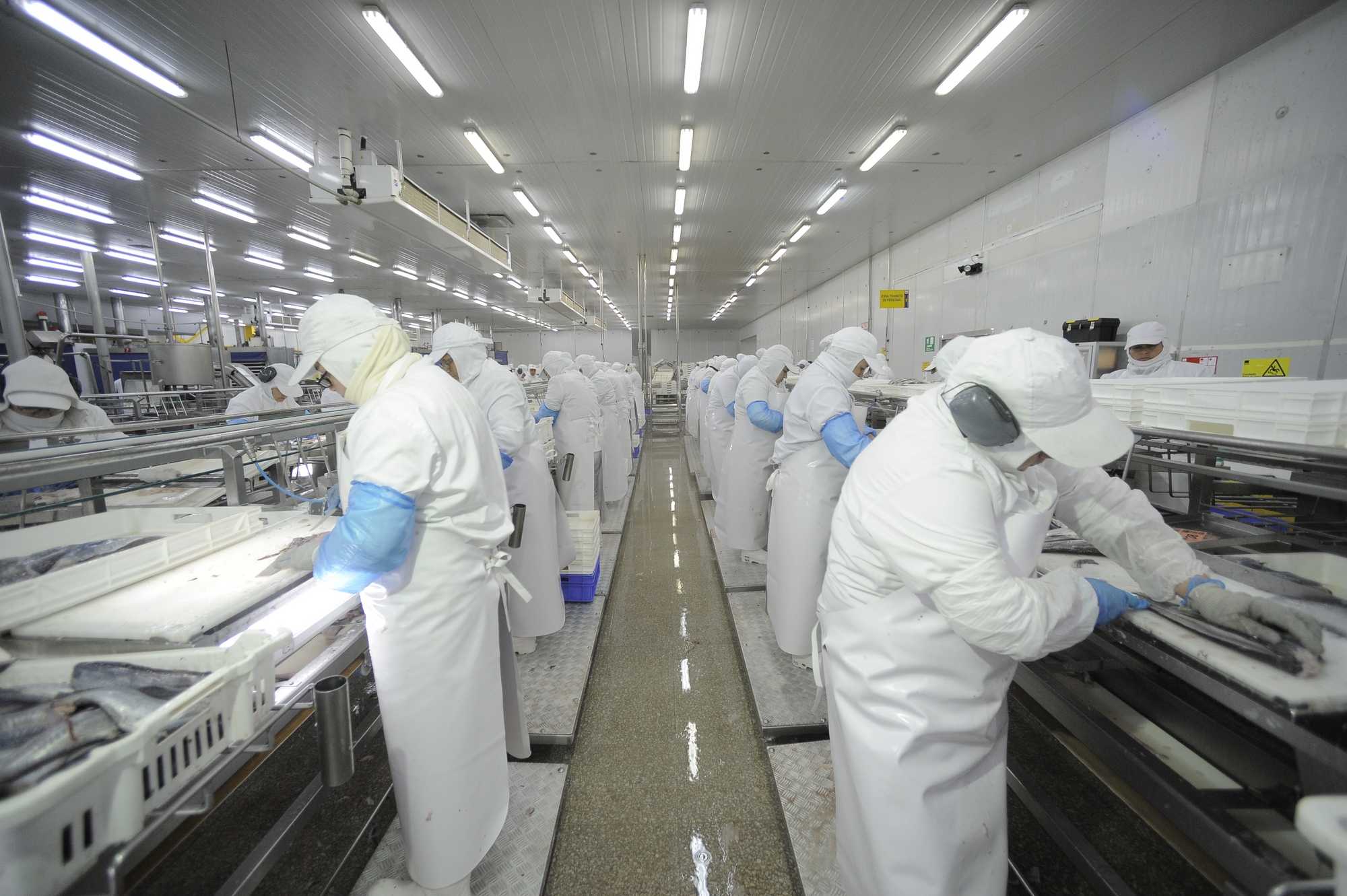[LA + LEÍDA EL VIERNES] Multisindical: “Los trabajadores de la salmonicultura estamos muy preocupados y en alerta”