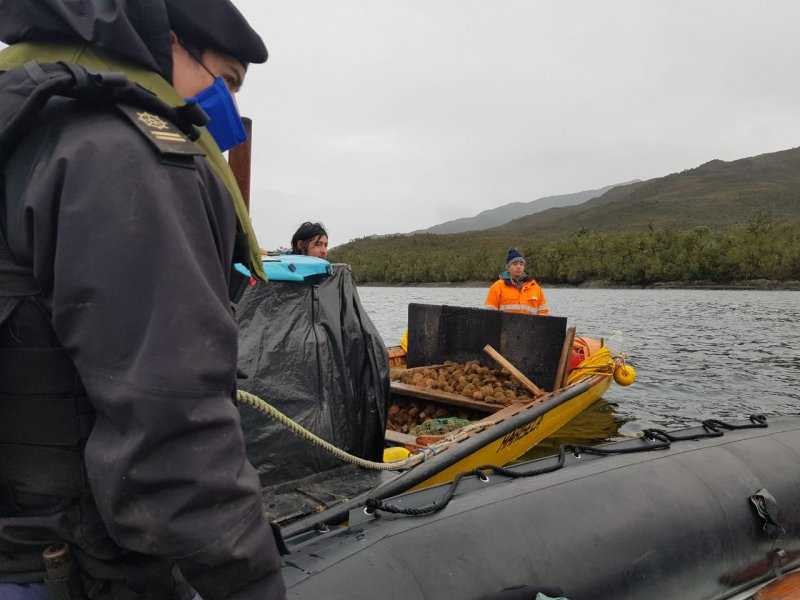 En Aysén: Sorprenden a embarcación con 150 kilos de erizo