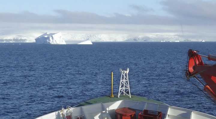 Nuevo catálogo busca visibilizar microorganismos fundamentales en el ecosistema antártico