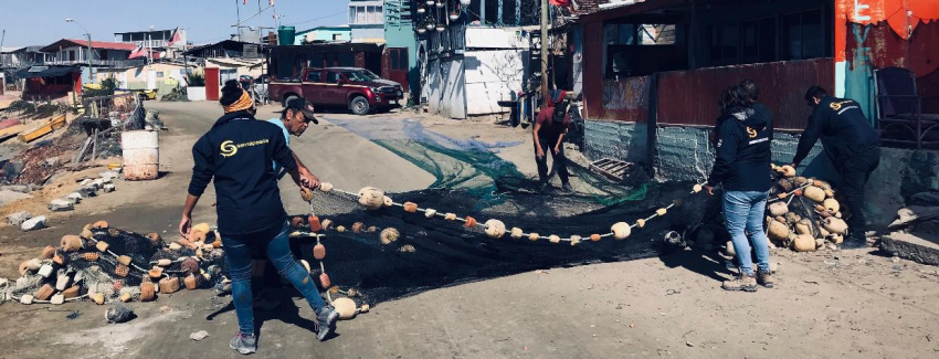 Extienden autorización para tradicional pesca de «bolinche» en Atacama y Coquimbo