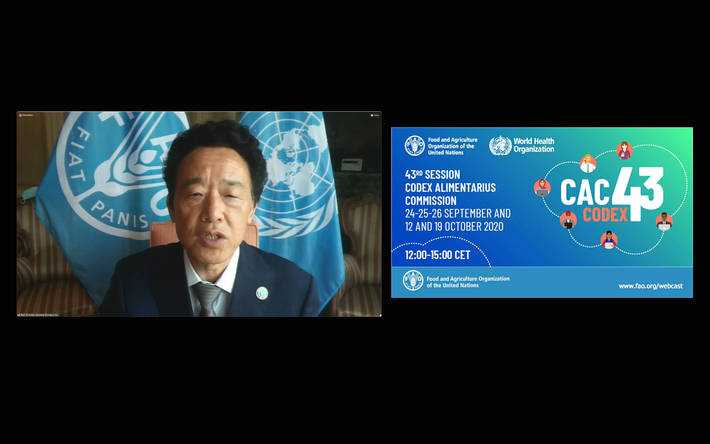 FAO: Destacan el rol del Codex Alimentarius para garantizar la inocuidad y normas comerciales durante la pandemia