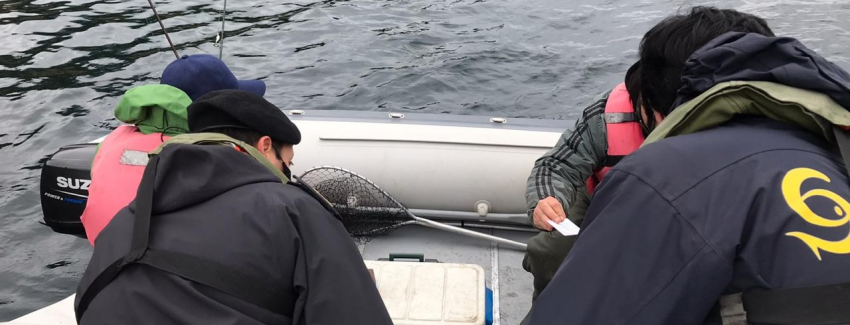 Fiscalización en el lago Villarrica arrojó infracciones a la Ley de Pesca Recreativa