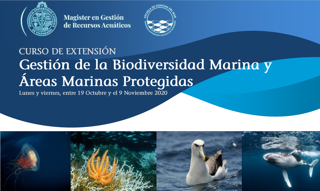 PUCV abrió inscripciones para inédito curso de «Gestión de la Biodiversidad Marina»