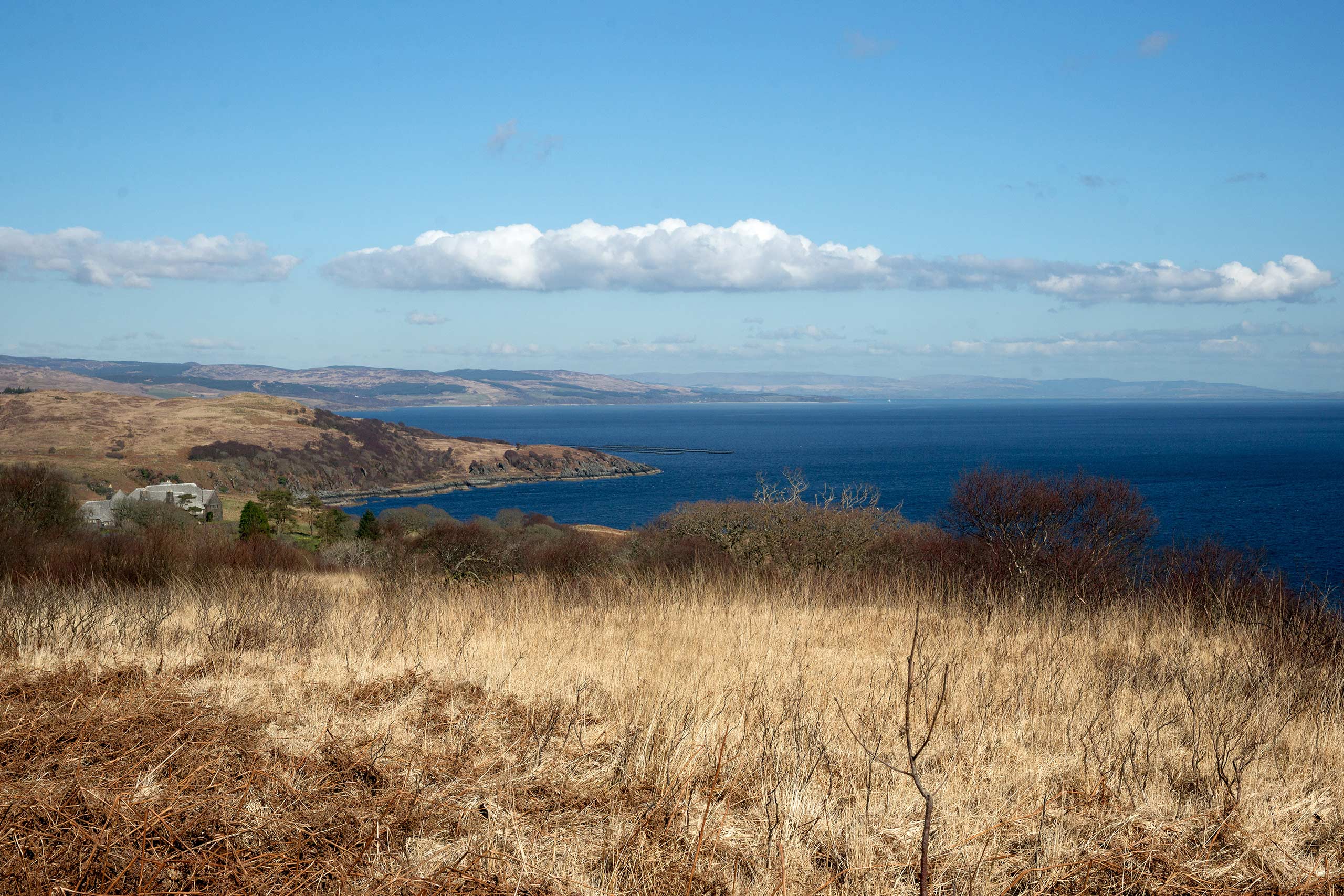 En Escocia: Mowi busca instalar un centro de cultivo de «alta energía»