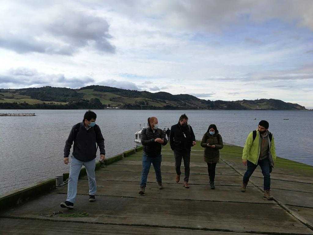 Pescadores de isla Quehui incursionan en el turismo y se aprestan a levantar un mirador para avistamiento de aves