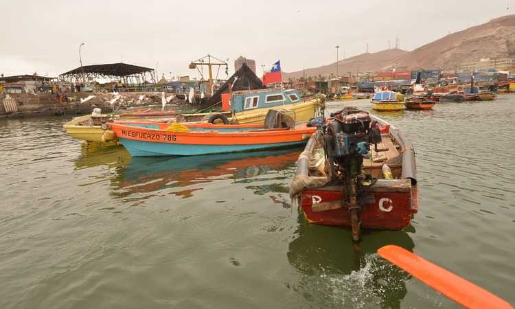 Desde vehículos con vitrina a radares: Pescadores de Arica y Parinacota optan a fondos públicos para potenciar su labor